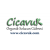 Cicavuk Organik Logo